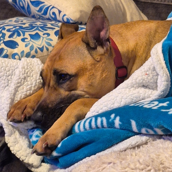 💖 March 16th 9:15 am Est Live Share Show Notification Share 1 LOW START - Picture 9 of 10